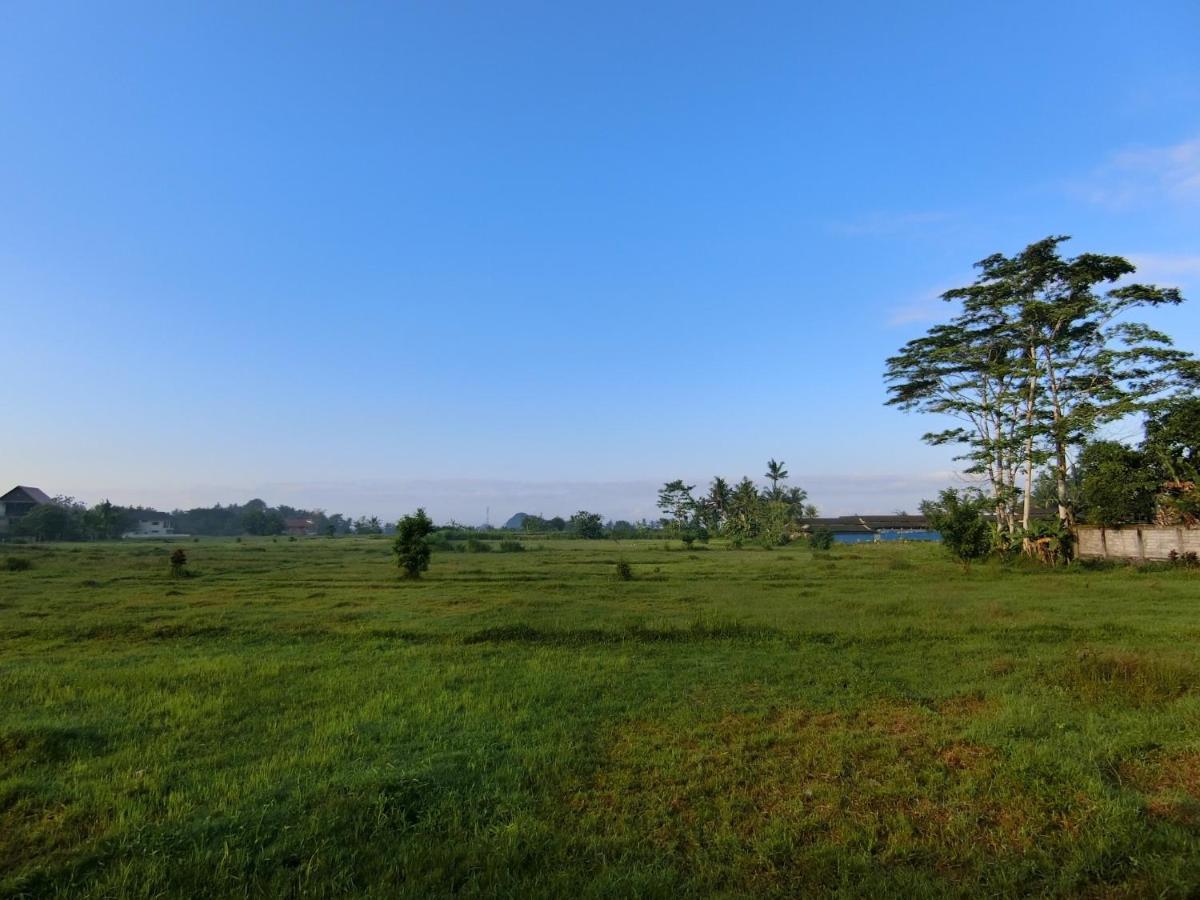New Private Pool Villa - Villa Kita Ubud Экстерьер фото